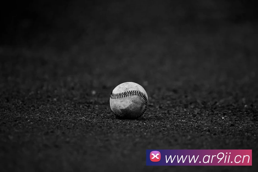 足球世界杯官网中文版平台生态图